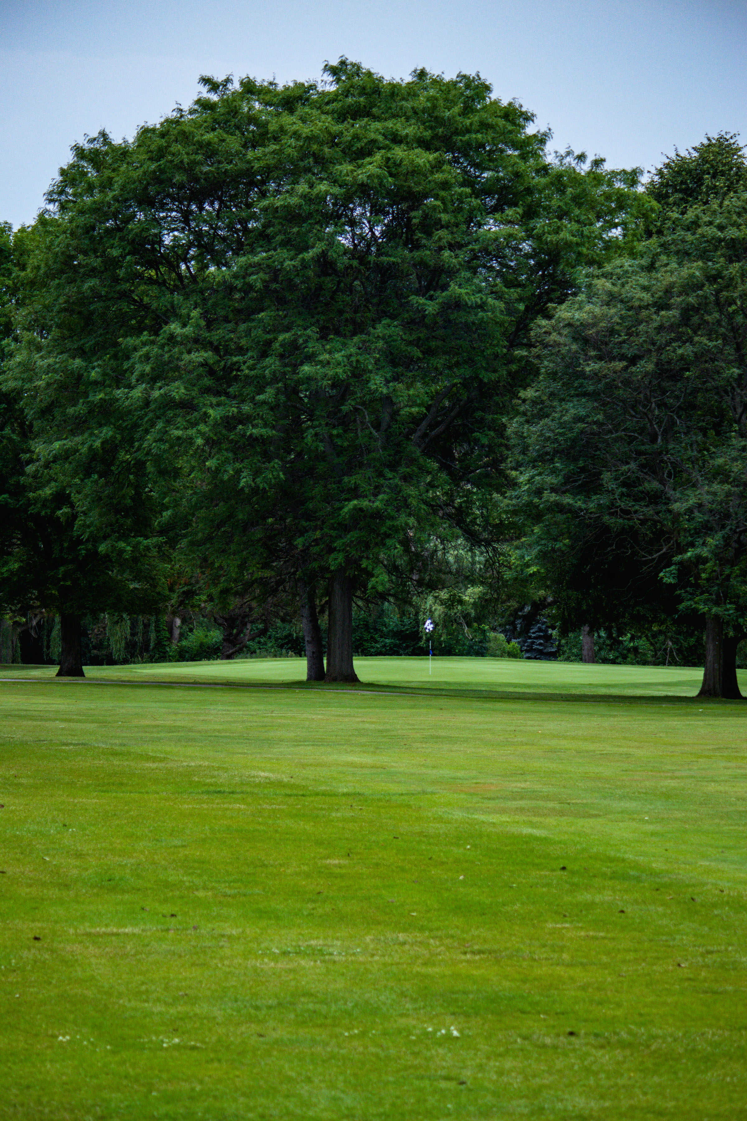 to Whispering Willows G.C. City of Livonia Golf Division